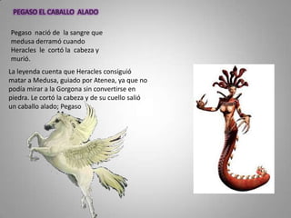 PEGASO EL CABALLO ALADO

Pegaso nació de la sangre que
medusa derramó cuando
Heracles le cortó la cabeza y
murió.
La leyenda cuenta que Heracles consiguió
matar a Medusa, guiado por Atenea, ya que no
podía mirar a la Gorgona sin convertirse en
piedra. Le cortó la cabeza y de su cuello salió
un caballo alado; Pegaso
 