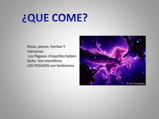 Pasto, pienso, hierbas Y
manzanas.
 Los Pegasos chiquititos beben
leche. Son mamíferos
LOS PEGASOS son herbívoros.
 