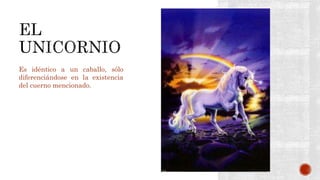 Es idéntico a un caballo, sólo
diferenciándose en la existencia
del cuerno mencionado.
 