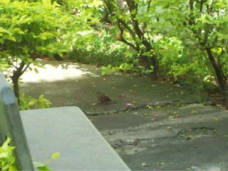 Seres orgânicos e inorgânicos