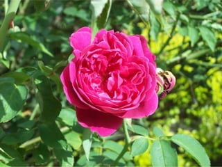 Seres orgânicos e inorgânicos