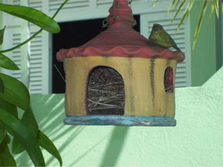 Seres orgânicos e inorgânicos