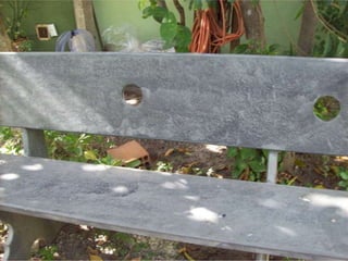 Seres orgânicos e inorgânicos