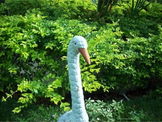 Seres orgânicos e inorgânicos