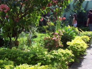 Seres orgânicos e inorgânicos