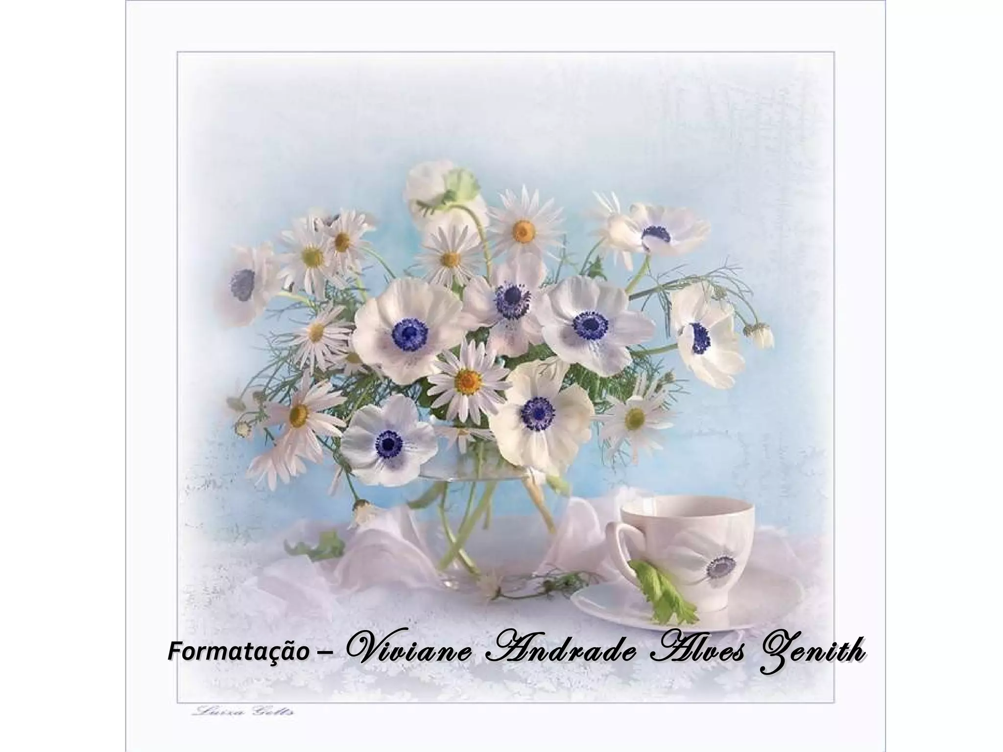 Formatação  –  Viviane Andrade Alves Zenith 