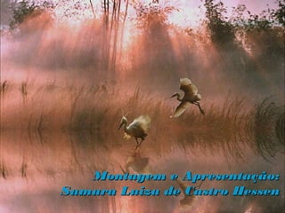 Montagem e Apresentação:
Samara Luiza de Castro Hessen
 