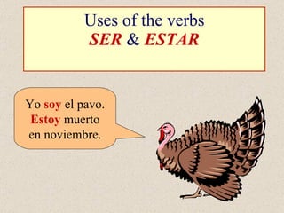 Uses of the verbs SER  &  ESTAR Yo  soy  el pavo. Estoy  muerto en noviembre. 