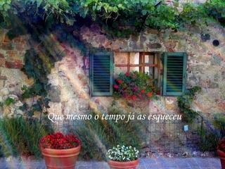 Que mesmo o tempo já as esqueceu
 