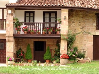 Mesmo tendo feito eu diversas podas
 