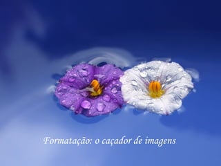 Formatação: o caçador de imagens
 