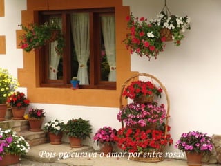 Pois procurava o amor por entre rosas
 