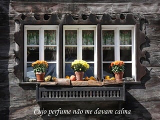 Cujo perfume não me davam calma
 