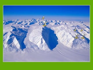 Será este mi hábitat (1)