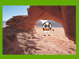 Será este mi hábitat (1)