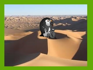 Será este mi hábitat (1)