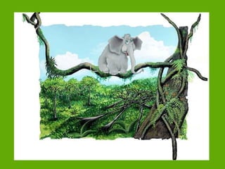 Será este mi hábitat (1)