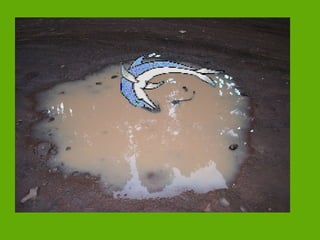 Será este mi hábitat (1)