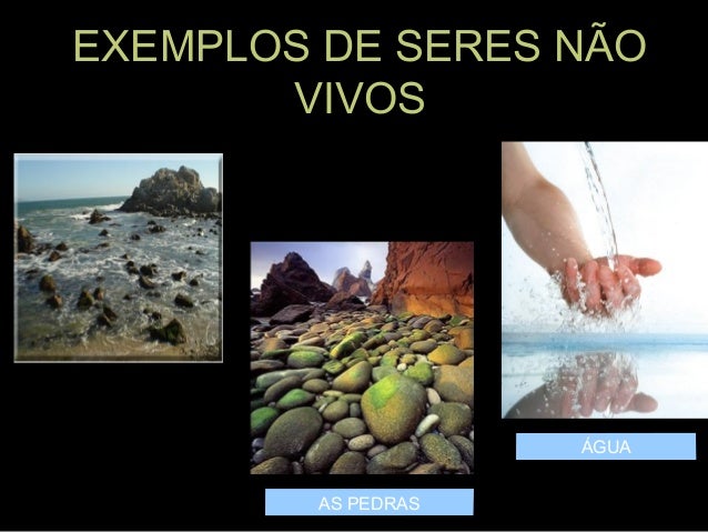 Seresvivo e não vivos