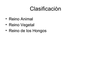 Clasificaciòn Reino Animal Reino Vegetal Reino de los Hongos 