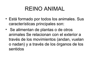 REINO ANIMAL  Está formado por todos los animales. Sus características principales son: Se alimentan de plantas o de otros animales Se relacionan con el exterior a través de los movimientos (andan, vuelan o nadan) y a través de los órganos de los sentidos 