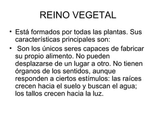 REINO VEGETAL Está formados por todas las plantas. Sus características principales son: Son los únicos seres capaces de fabricar su propio alimento. No pueden desplazarse de un lugar a otro. No tienen órganos de los sentidos, aunque responden a ciertos estímulos: las raíces crecen hacia el suelo y buscan el agua; los tallos crecen hacia la luz. 