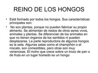 REINO DE LOS HONGOS Está formado por todos los hongos. Sus características principales son: No son plantas, porque no pueden fabricar su propio alimento. Se alimentan de restos de otros seres vivos, animales y plantas. Se diferencian de los animales en que no tienen órganos de los sentidos ni pueden desplazarse. La parte reproductora de algunos hongos es la seta. Algunas setas como el champiñón o el níscalo, son comestibles, pero otras son muy venenosas. El moho que crece sobre un trozo de pan o de fruta en un lugar húmedo es un hongo 