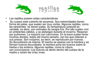 Los reptiles poseen estas características: Su cuerpo está cubierto de escamas. Sus extremidades tienen forma de patas, que suelen ser muy cortas. Algunos reptiles, como las serpientes, no tienen patas. Su temperatura corporal es variable, es decir, son animales de sangre fría. Por ello suelen vivir en ambientes cálidos, y se aletargan durante el invierno. Respiran por pulmones. La mayoría son carnívoros. En la boca suelen tener muchos dientes, todos del mismo tamaño, con los que retienen a sus presas. Son ovíparos, es decir, se reproducen por huevos. Su fecundación es interna. El macho se aparea con la hembra y se forman huevos fecundados. la hembra pone los huevos sobre la hierba o los entierra. Algunos reptiles, como la víbora, son ovovivíparos: Los huevos se abren dentro del cuerpo de la madre y nacen las crías vivas. reptiles 