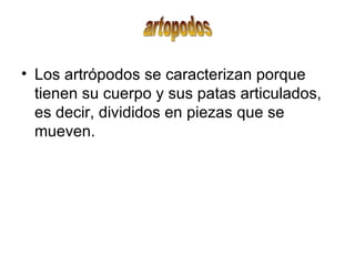 Los artrópodos se caracterizan porque tienen su cuerpo y sus patas articulados, es decir, divididos en piezas que se mueven.  artopodos 