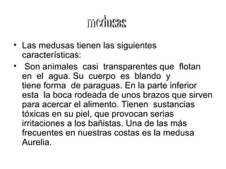 Las medusas tienen las siguientes características: Son animales  casi    transparentes que  flotan  en  el  agua. Su  cuerpo  es    blando  y tiene forma  de paraguas. En la parte inferior esta  la boca rodeada de unos brazos que sirven para acercar el alimento. Tienen  sustancias tóxicas en su piel, que provocan serias irritaciones a los bañistas. Una de las más frecuentes en nuestras costas es la medusa Aurelia. medusas 