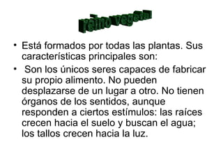 Está formados por todas las plantas. Sus características principales son: Son los únicos seres capaces de fabricar su propio alimento. No pueden desplazarse de un lugar a otro. No tienen órganos de los sentidos, aunque responden a ciertos estímulos: las raíces crecen hacia el suelo y buscan el agua; los tallos crecen hacia la luz. reino vegetal 