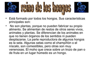 Está formado por todos los hongos. Sus características principales son: No son plantas, porque no pueden fabricar su propio alimento. Se alimentan de restos de otros seres vivos, animales y plantas. Se diferencian de los animales en que no tienen órganos de los sentidos ni pueden desplazarse. La parte reproductora de algunos hongos es la seta. Algunas setas como el champiñón o el níscalo, son comestibles, pero otras son muy venenosas. El moho que crece sobre un trozo de pan o de fruta en un lugar húmedo es un hongo. reino de los hongos 