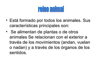 Está formado por todos los animales. Sus características principales son: Se alimentan de plantas o de otros animales Se relacionan con el exterior a través de los movimientos (andan, vuelan o nadan) y a través de los órganos de los sentidos. reino animal 