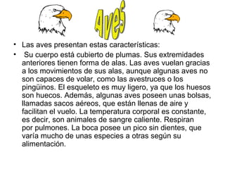 Las aves presentan estas características: Su cuerpo está cubierto de plumas. Sus extremidades anteriores tienen forma de alas. Las aves vuelan gracias a los movimientos de sus alas, aunque algunas aves no son capaces de volar, como las avestruces o los pingüinos. El esqueleto es muy ligero, ya que los huesos son huecos. Además, algunas aves poseen unas bolsas, llamadas sacos aéreos, que están llenas de aire y facilitan el vuelo. La temperatura corporal es constante, es decir, son animales de sangre caliente. Respiran por pulmones. La boca posee un pico sin dientes, que varía mucho de unas especies a otras según su alimentación. Aves 