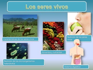Nutrición de los seres
Características de los seres vivos                               vivos




                                     Alimentos y nutrientes



Nutrición de los microorganismos
heterotrofos
                                                              Sistema digestivo       1
 