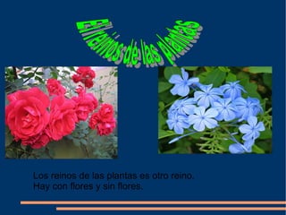 Los reinos de las plantas es otro reino. Hay con flores y sin flores. El reinos de las plantas