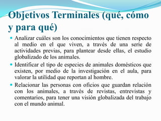 Consolidación de la lateralidad.