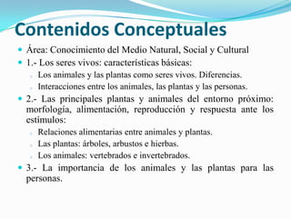 Los que elaboran los maestros: fichas, cartulinas de colores ... etc..