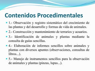Los traídos por los niños: cajas de cartón, telas, botes, lana, hilos de colores, plantas, tierra .. etc...