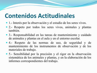 Los que compra en colegio, que son tales como: