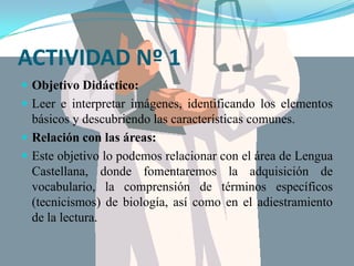 De psicomotricidad: picas, aros, cuerdas...