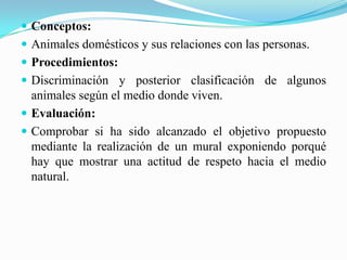 Que favorecieran el desarrollo motor.