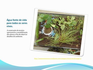 Caule: sustenta os galhos e transporta os nutrientes;