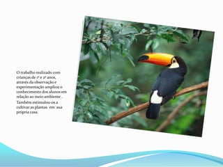 Flores:reprodução de alguns vegetais;