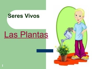 Seres Vivos   Las Plantas   