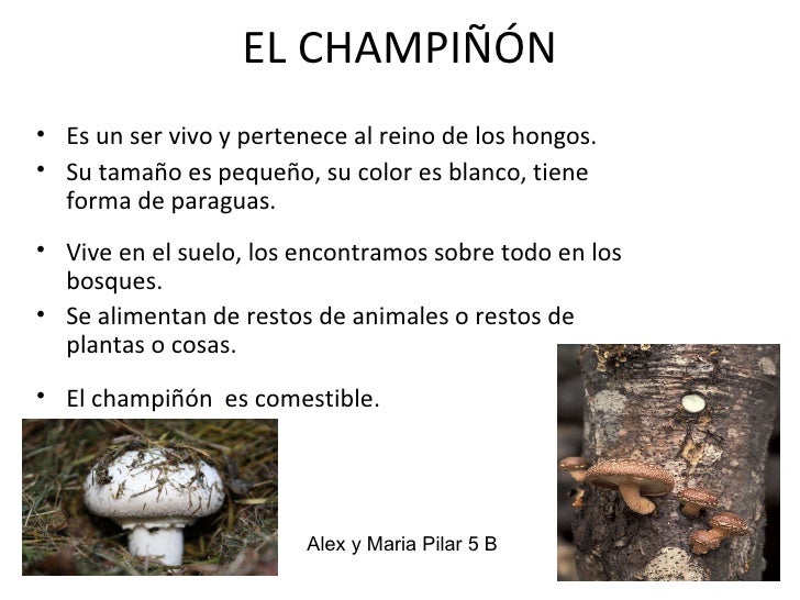 Más eficaz del hongo de la uña