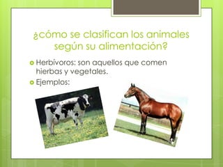 ¿cómo se clasifican los animales
   según su alimentación?
 Herbívoros: son aquellos que comen
  hierbas y vegetales.
 E...