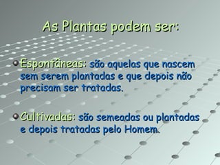 As Plantas podem ser: Espontâneas:  são aquelas que nascem sem serem plantadas e que depois não precisam ser tratadas. Cultivadas:  são semeadas ou plantadas e depois tratadas pelo Homem. 