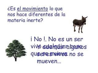 ¿Es el movimiento lo que
nos hace diferentes de la
materia inerte?


          ¡ No !. No es un ser
          vivo además: algunos
             Y cualquier cosa
          que se mueva. no se
             seres vivos
             mueven…
 