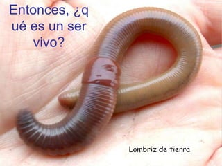 Entonces, ¿q
ué es un ser
   vivo?




               Lombriz de tierra
 